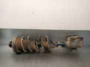 Stoßdämpfer Links Hinten RPB000070 Land + Range Rover Freelander Hard Top Geländewagen 2.0 td4 16V (204D3)