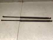 Gasdruckfedern Set Hinten 904517337R Renault Grand Scénic III (JZ) Großraumlimousine 1.6 dCi (R9M-402(R9M-A4))
