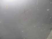 Motorhaube 1160244 Opel Omega B (25/26/27) Limousine 2.5 TD (25TD)