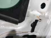 Tür Links Vorne 801017005R Renault Master III (MA/MB/MC/MD/MH/MF/MG/MH) Van 2.3 dCi 170 16V FWD (M9T-D7)