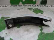 Zierleiste ACHTERLICHT Peugeot 1007 (KM) Schr?gheck 3-drs 1.4 HDI (DV4TD(8HZ))