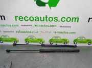 Gasdruckfedern Set Hinten 13182537 Opel Corsa D Schrägheck 1.3 CDTi 16V ecoFLEX (Z13DTJ)