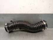 Schlauch 8200720174 Renault Grand Scénic III (JZ) Großraumlimousine 1.9 dCi 130 FAP (F9Q-872(F9Q-P8))