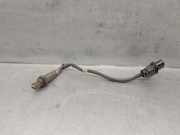 Lambdasonde 9687161080 Citroën CITROËN II (NC_) 1.6 HDi 90