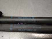 Gasdruckfedern Set Hinten 4M51N406A10AB Ford Focus II Wagon Kombi 1.6 TDCi 16V 90 (HHDA)