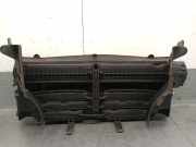 Schließplatte Kühlerträger 51743415851 BMW X3 (E83) SUV 2.0d 16V (N47-D20A)