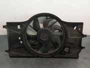 K?hlerventilator 214810039R Renault III (BT0/1) 2.0 dCi (BT01, BT08, BT09, BT0E, BT0K, BT12, BT1C, BT1D,...