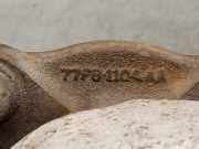 Achsschenkel Halter Links Vorne 77FB1104AA Ford Fiesta 1 Schrägheck 1.0 L,GL,Ghia (TLA)