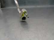 Motorsteuergerät 7700110646 Renault I BERLINA Schrägheck (BA0) 1.9 dTi Diesel CAT