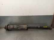 Stoßdämpfer Links Hinten 96653295 Daewoo / Chevrolet Aveo (256) Limousine 1.4 16V (F14D3)