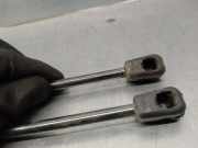 Gasdruckfedern Set Hinten 1313218 Ford Focus 1 Limousine 1.8 TDCi 100 (FFDA)