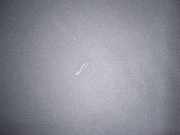 Lichtschalter 7700842114 Renault I FASE I+II (B/C57) 1.9 Diesel