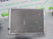 Klima Verdampfer Fiat Grande Punto (199) Schrägheck 1.4 LPG (350.A.1000)