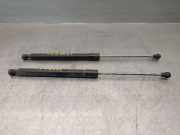 Gasdruckfedern Set Hinten 8200299546 Renault Clio III (BR/CR) Schrägheck 1.2 16V 75 (D4F-740(D4F-D7))