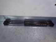 Gasdruckfedern Set Hinten 51247250308 BMW 3 serie (E90) Limousine 320d 16V (N47-D20C)