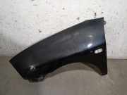 Kotflügel Links Vorne 6L0821021C Seat Ibiza III (6L1) Schrägheck 1.9 TDI 100 (ATD)