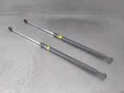 Gasdruckfeder Set Vorne 5344053020 Lexus IS (E3) Limousine 300h 2.5 16V (2ARFSE)