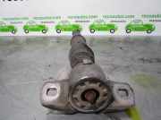 Stoßdämpfer Links Hinten 7305130364D Citroën CITROËN II (NC_) 1.6 HDi 90