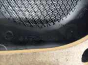 Türverkleidung Links Hinten A2517300148 Mercedes-Benz CLASE R 350 L Bluetec 4-Matic (251.124)