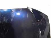 Motorhaube 204D2 Rover (RJ) 2.0 CDTi