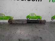 Stoßdämpfer Links Hinten 50703689 Fiat Idea (350AX) Großraumlimousine 1.4 16V (843.A.1000)