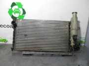 Radiator 1300N41331RE Peugeot BERLINA 1.9 CAT