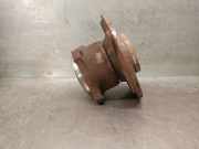 Achsschenkel Halter Rechts Hinten A1699810027 Mercedes-Benz CLASE B Sports Tourer (W245) B 180 CDI (245.207)