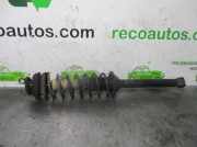 Stoßdämpfer Rechts Hinten 98FX18K076AC Ford Fiesta 4 Schrägheck 1.3i (J4R)
