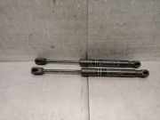Gasdruckfeder Set Vorne 51217271304 BMW 3 serie Gran Turismo (F34) SchrÃ¤gheck 320d 2.0 16V (B47-D20A)