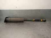 Stoßdämpfer Links Hinten E62105FA0A Nissan Micra (K14) Schrägheck 0.9 IG-T 12V (H4B-408)