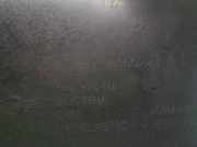 Türverkleidung Rechts Vorne 51419810022 Mini Countryman (R60) SUV 1.6 Cooper D (N47-C16A)