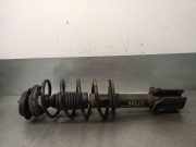 Stoßdämpfer Links Vorne 50704485 Lancia Musa Großraumlimousine 1.3 JTD Multijet 90 (199.A.3000)