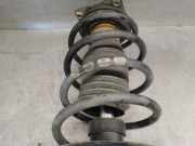 Stoßdämpfer Rechts Vorne A1693200130 Mercedes-Benz A (W169) Schrägheck 2.0 A-180 CDI 16_V (OM640.940)