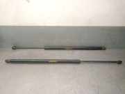 Gasdruckfedern Set Hinten CV44S406A10AD Ford Kuga II (DM2) SUV 2.0 TDCi 16V 120 (XRMA)