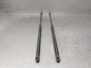 Gasdruckfedern Set Hinten 8V482755203S Audi A3 Sportback (8VA/8VF) Schr?gheck 5-drs 1.5 TFSI 16V (DADA)