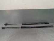 Gasdruckfedern Set Hinten 8731N9 Citroën C4 Grand Picasso (UA) Großraumlimousine 1.6 HDiF 16V 110 (DV6TED4(9HZ))