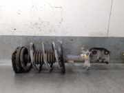 StoÃŸdÃ¤mpfer Links Vorne 543020069R Renault Megane III Grandtour (KZ) Kombi 5-drs 2.0 dCi 16V (M9R-615(M9R-C6))