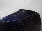 Motorhaube 6F0823031D Seat Ibiza V (KJB) Schrägheck 5-drs 1.0 TSI 12V (DLAA)