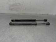 Gasdruckfedern Set Hinten 4F5827552A Audi A6 (C6) Limousine 2.4 V6 24V (BDW)