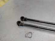 Gasdruckfedern Set Hinten 51248402405 BMW X5 (E53) SUV 4.4 V8 32V (M62-B44(448S2))