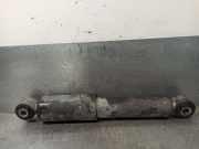 Stoßdämpfer Rechts Vorne 504198992 Iveco New Daily IV Van 35C13V, C13V/P, S13V, S13V/P (F1AE0481V)