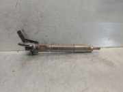 Kraftstoff-Injector 338003A000 Hyundai iX55 SUV 3.0 CRDI V6 24V (D6EA)