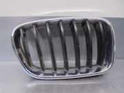 Grill 51117210726 BMW X3 (F25) SUV xDrive20d 16V (N47-D20C)
