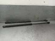 Gasdruckfedern Set Hinten 08510550 Citroën CITROËN BERLINA 2.0 HDi