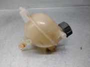 Ausgleichbehälter - 9821049380 Citroën CITROËN JUMPY Kombi 1.6 Blue-HDI FAP