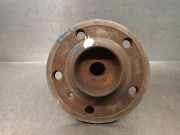 Achsschenkel Halter Rechts Hinten A1699810027 Mercedes-Benz B (W245) Schrägheck 2.0 B-200 16V (M266.960)