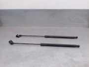 Gasdruckfedern Set Hinten 9654433680 Citroën C4 Picasso (UD/UE/UF) Großraumlimousine 2.0 HDiF 16V 135 (DW10BTED4(RHJ))