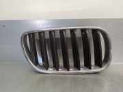 Grill 51113420088 BMW X3 (E83) 2.0 16V Diesel CAT