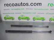 Gasdruckfedern Set Hinten 6896002031 Toyota Corolla (E12) Schrägheck 1.4 D-4D 16V (1NDTV)