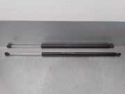 Gasdruckfedern Set Hinten 8200021974 Renault IV (JK0/1_) 2.2 dCi (JK0H)